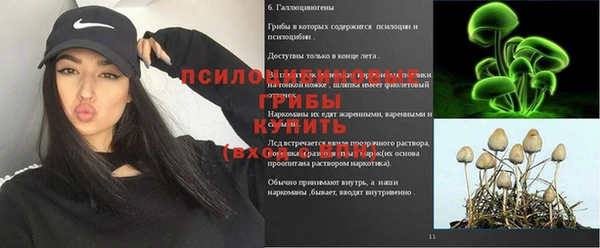 Альфа ПВП Кукмор