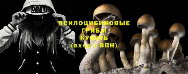 Альфа ПВП Кукмор