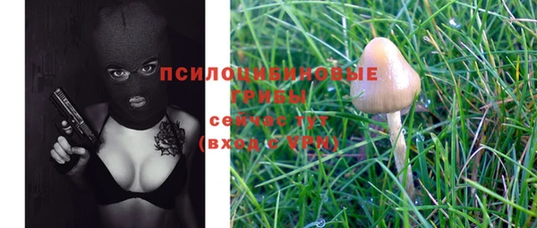бошки Кулебаки